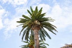 01-Ajaccio-0023-F
