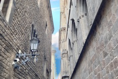 IMG_0130