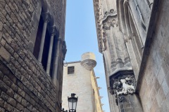 IMG_0132