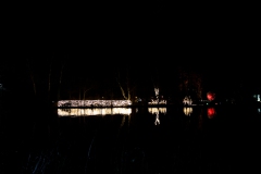 IMG_3317