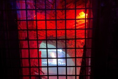 IMG_9790