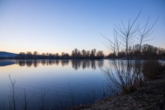 IMG_2239
