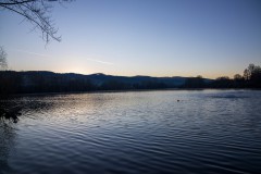 IMG_2250