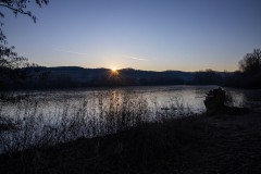 IMG_2260