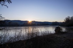 IMG_2263
