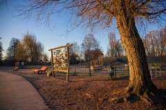 IMG_2310