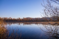 IMG_2329