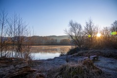 IMG_2339