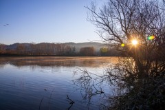 IMG_2361