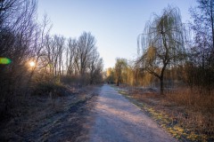 IMG_2379