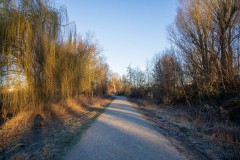 IMG_2386
