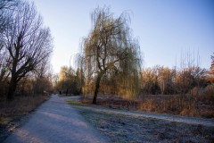 IMG_2387