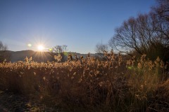 IMG_2400