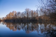 IMG_2408