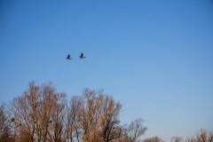 IMG_2427