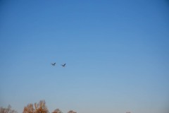 IMG_2439