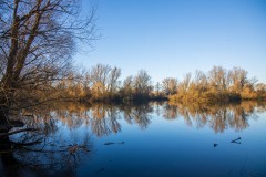 IMG_2446