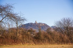IMG_2473
