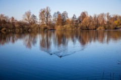 IMG_2476