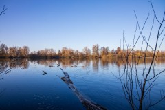 IMG_2486