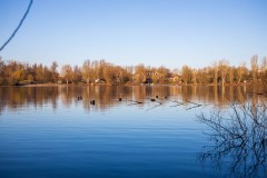 IMG_2508