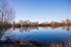 IMG_2518