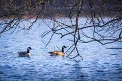IMG_2606