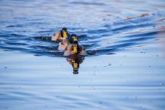 IMG_2761