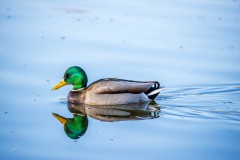 IMG_2769