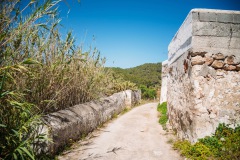 07-Ibiza-0038-F