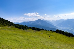 IMG_2627