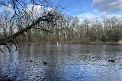 Gross-IMG_0740