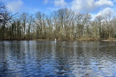 Gross-IMG_0743