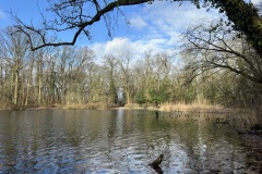 Gross-IMG_0747