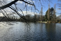 Gross-IMG_0753