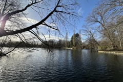 Gross-IMG_0755