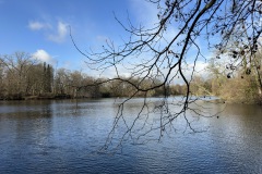 Gross-IMG_0769