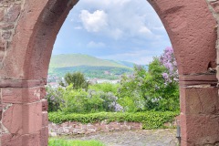 IMG_7816