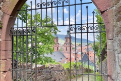IMG_7824