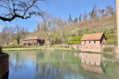 IMG_7463