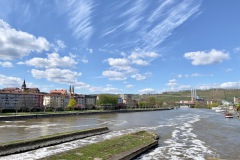 IMG_7344