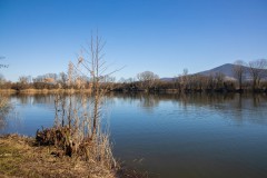 IMG_2814