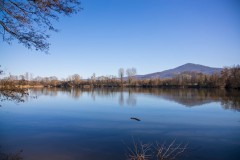 IMG_2816
