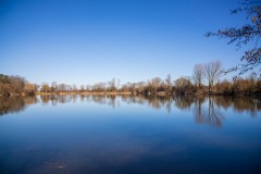 IMG_2828