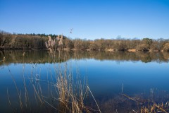IMG_2842