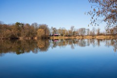 IMG_2850