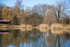 IMG_2860