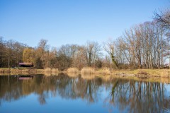 IMG_2864