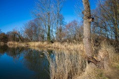 IMG_2872
