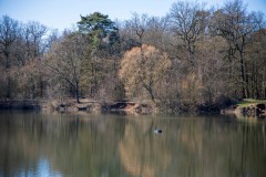 IMG_2886